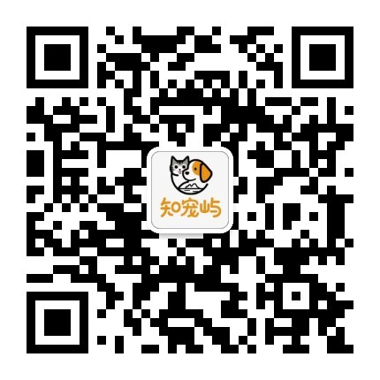 官方公众号